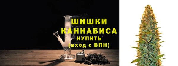 a pvp Каменногорск