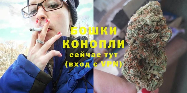 a pvp Каменногорск