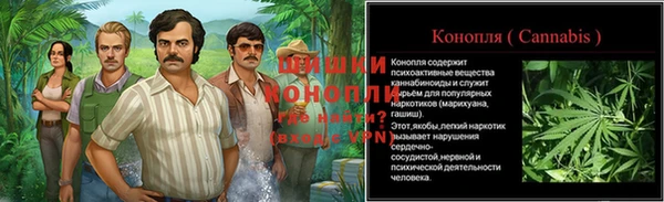 крисы Чита