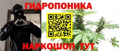 наркотики Заводоуковск