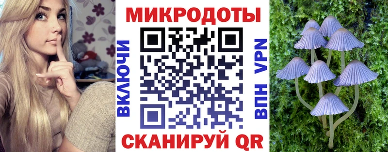 Псилоцибиновые грибы мухоморы  наркошоп  Камышлов 