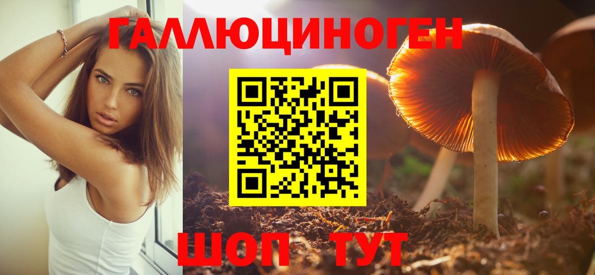 Псилоцибиновые грибы Magic Shrooms Камышлов