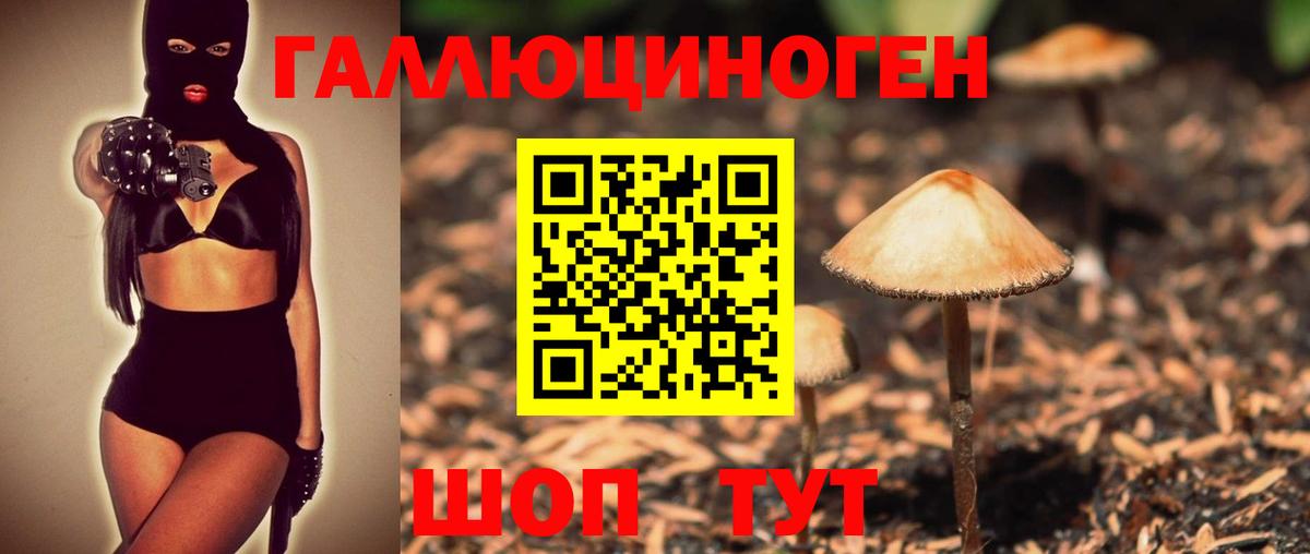 Галлюциногенные грибы Psilocybe  как найти наркотики  Камышлов  Вход с VPN 